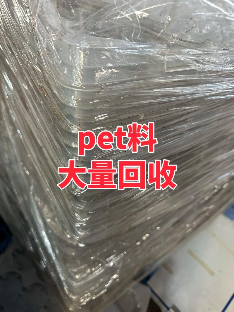杨家坪地区的废品回收案例分析